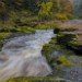 Strid 3